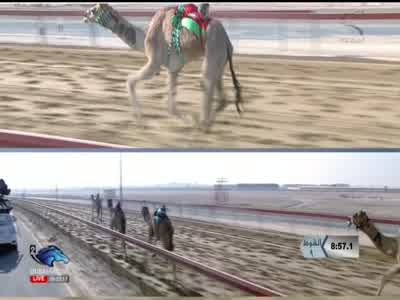 Dubai Racing 2