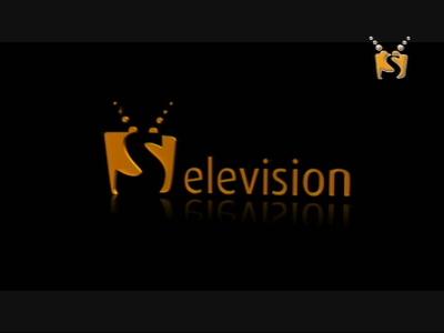 Selevision